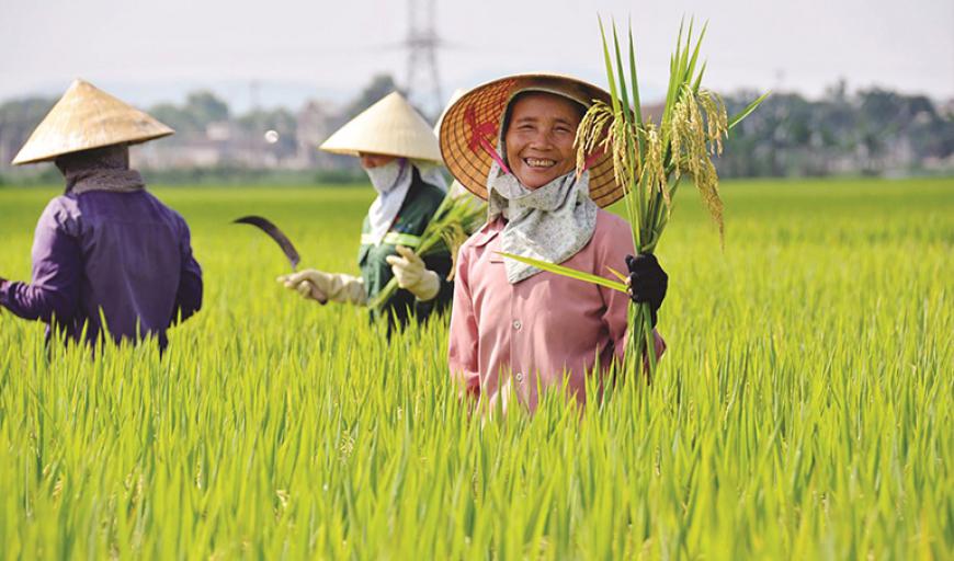 3 Loại Thực Phẩm Để Được Lâu Hơn Ngày Hết Hạn